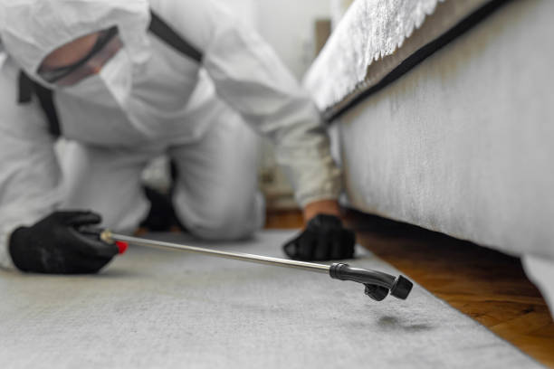 Professional Bed Bug Control technician working in Huntersville, NC