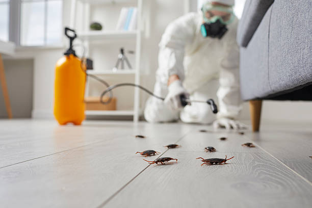 Trusted Rodent Control service in Huntersville, NC - Nex Pest Control