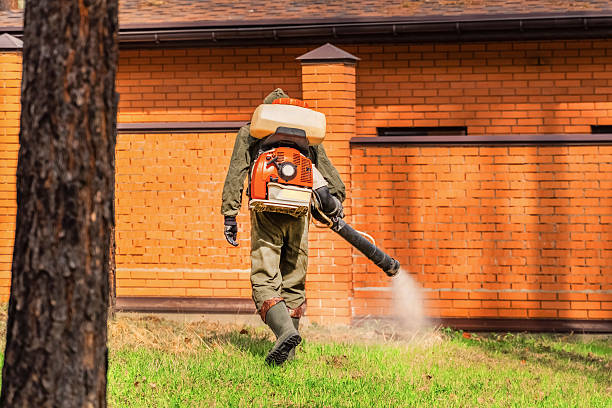 Trusted Emergency Pest Control service in Huntersville, NC - Nex Pest Control